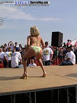 springfling Show Images Page 3